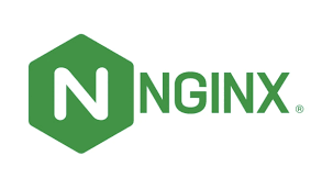 Nginx config for webserver